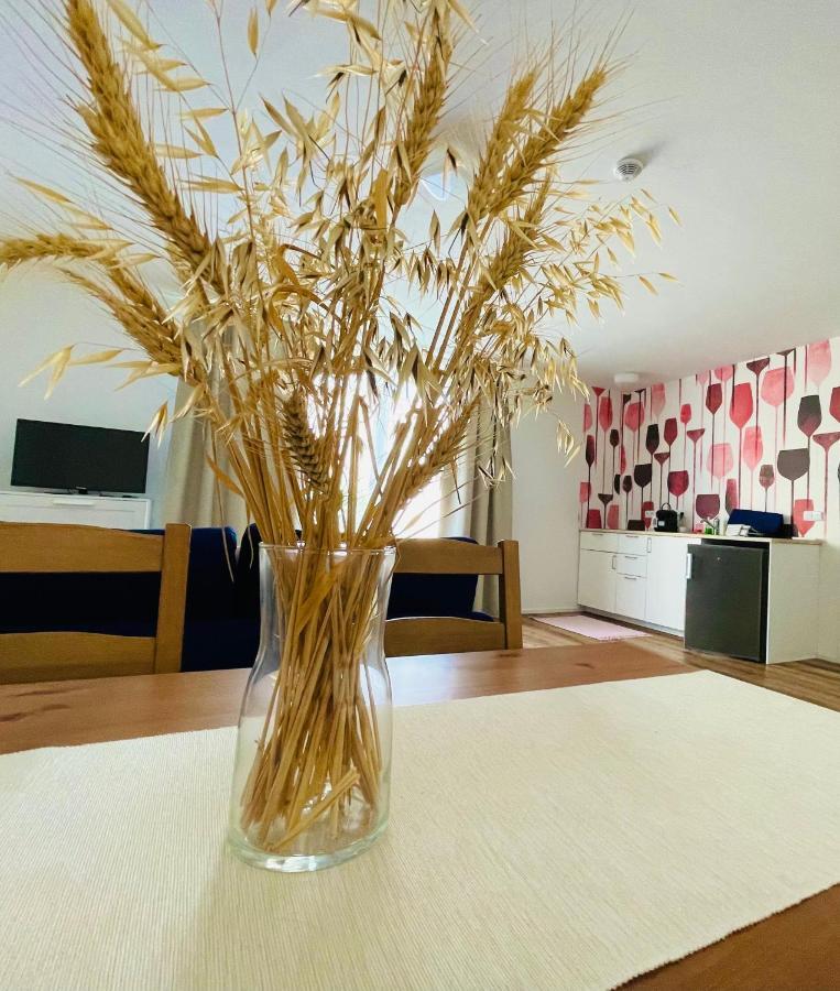 Appartamento Pálavské Domky Pasohlávky Esterno foto
