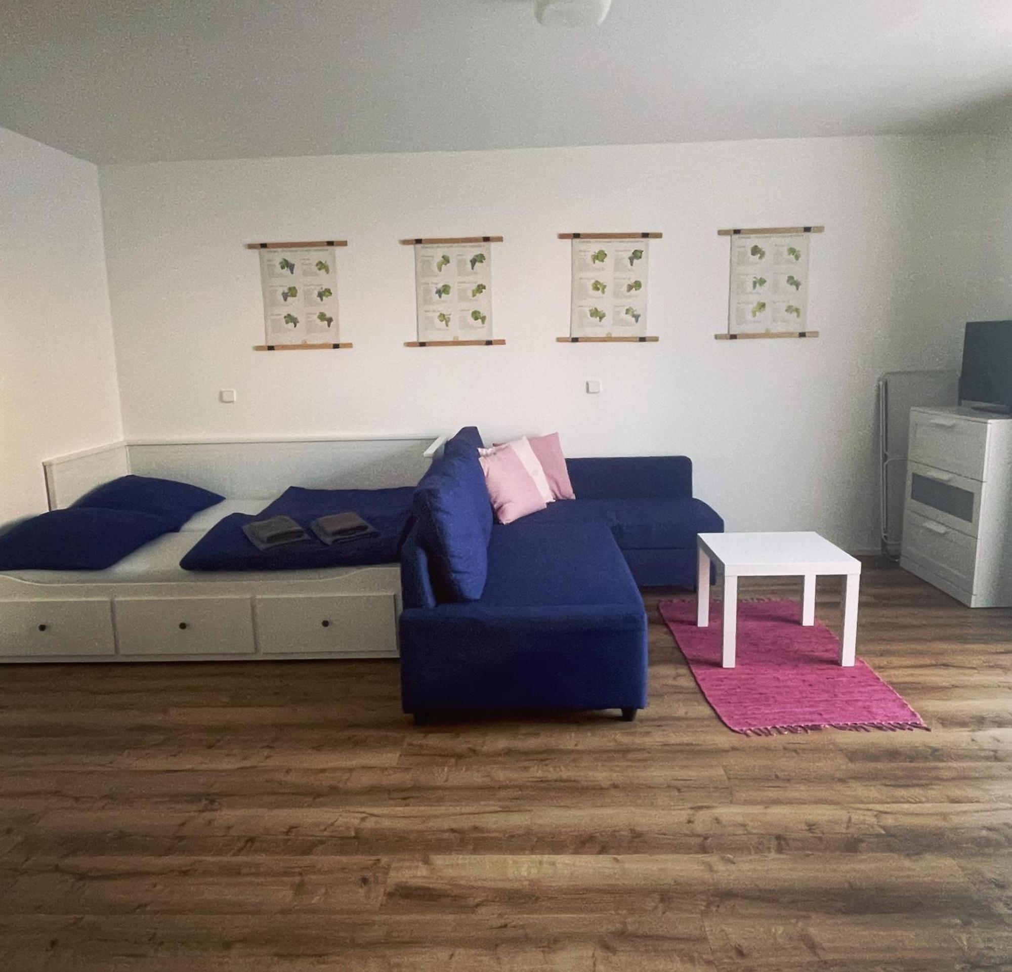 Appartamento Pálavské Domky Pasohlávky Esterno foto